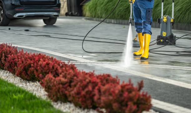 Best Pressure Washing Driveway  in Blakely, PA