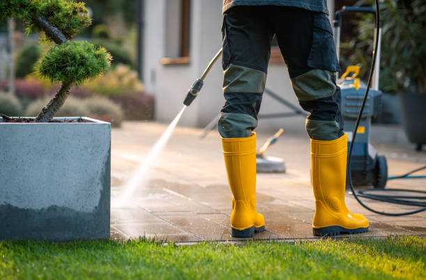 Best House Pressure Washing  in Blakely, PA